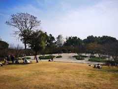 -南山植物园