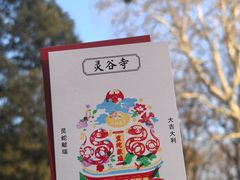 -灵谷景区