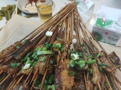 -晓靖轩烧烤(沙河风情店)