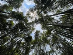 -海窝子古镇