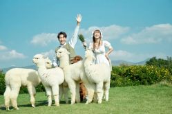 点击看大图 -太古映画婚纱摄影(天河店)