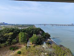 -大湾区中央湿地公园