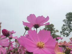 -汉江湾体育公园