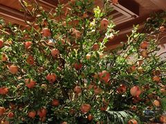 -八府香鸭·啫啫煲(华山路店)