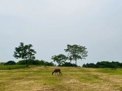 -良渚古城遗址公园