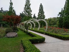 -昆山城市生态森林公园