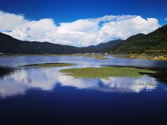 -腾冲北海湿地