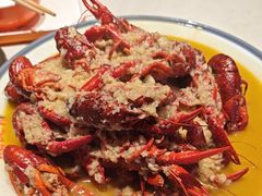 -杨氏青龙虾·羊蝎子(托乐嘉店)