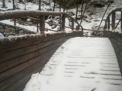 -青峰峡国家森林公园