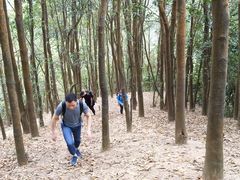 景点-阳台山森林公园