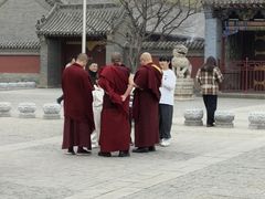 -护国法轮寺