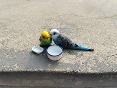 -天津盘山风景名胜区