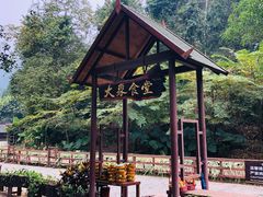 -野象谷景区