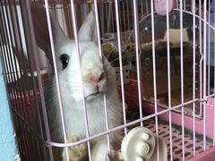 -藦茜花园宠物主题亲子互动体验馆(国顺东路店)