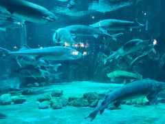 -华夏文旅海洋公园