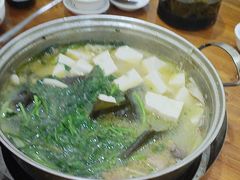 -15年老字号鑫鑫猪肚鸡·椰子鸡海南火锅(兴隆华侨农场店)