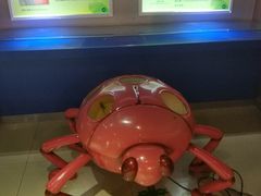 -上海昆虫博物馆