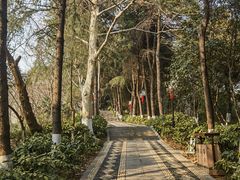 -阅江楼风景区