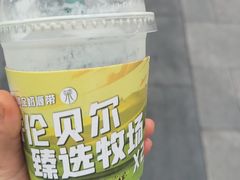 -茉酸奶(春熙路店)