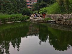 -成都市活水公园