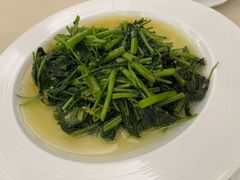 -上海锦江金门大酒店