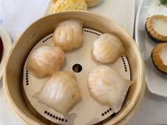 蝦餃-金苑海鲜酒家(来魅力店)