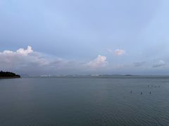 -贡湖湾湿地公园