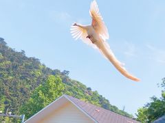 -大连老虎滩海洋公园