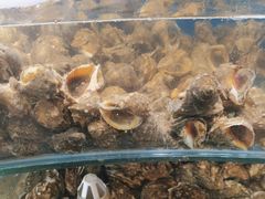 -四海蒸鲜蒸汽海鲜自助(北戴河店)