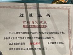 -阿五黄河大鲤鱼(英协路店)