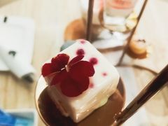 -新发展亚太JW万豪酒店大堂吧