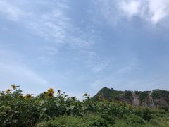 -紫海香堤香草艺术庄园