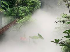 -大妙火锅·非物质文化遗产(东湖公园店)