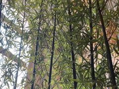 -威斯汀酒店Exchange大堂吧
