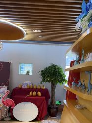-恒悦贝贝月子会所(海珠店)