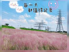 -王借岗森林公园