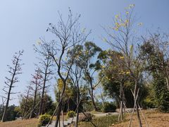 -中国移动南方基地