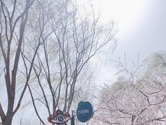 -三里河公园