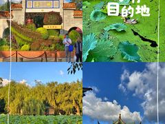 -翠湖公园