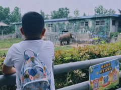 -西安秦岭野生动物园