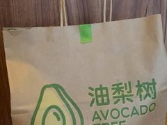 -油梨树AVOCADO TREE(嘉里中心店)