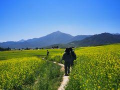 -扁都口生态休闲旅游区