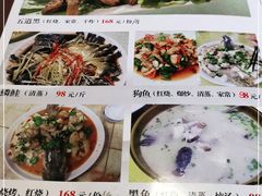 -煲来饱去冷水鱼