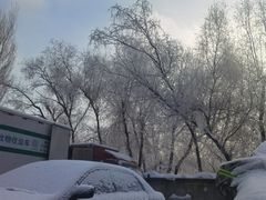 -黑龙江省森林植物园