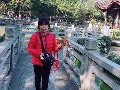 -汇龙潭
