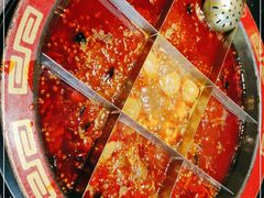 -矮板凳老火锅(宽窄巷子店)
