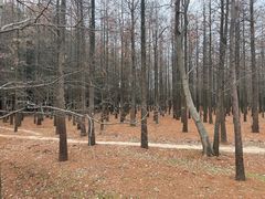 -蜀冈西峰生态公园