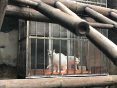 -二楼南书房