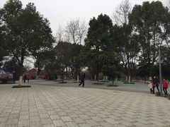 -宁波儿童公园(鄞州区)