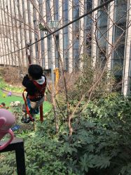 -可可天空农场(中大店)